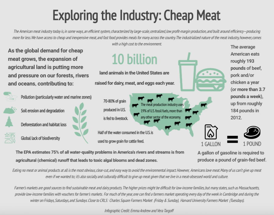 Exploring the Industry: Cheap Meat