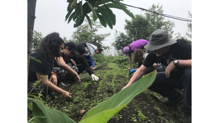 Pictured: CRLS students working on a farm in Yunguilla, Ecuador.
