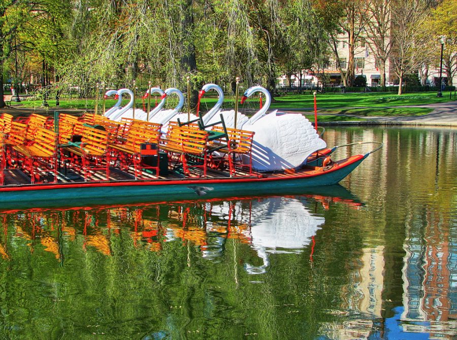 boston public garden