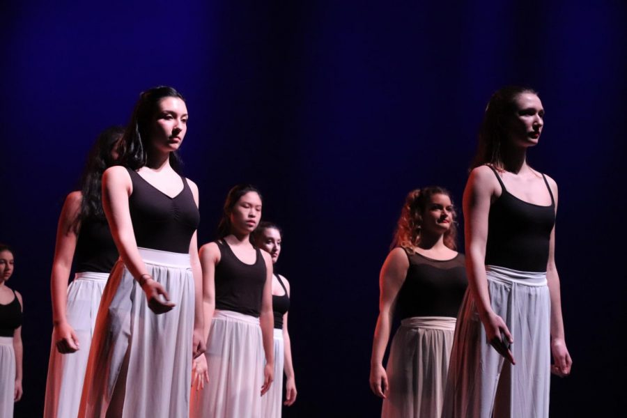 Modern Dance Companys dancers shone in the recent DANCE/works performance.