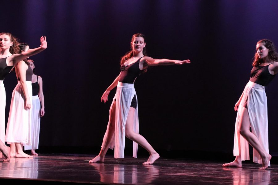 Modern Dance Companys dancers shone in the recent DANCE/works performance.