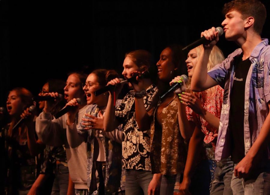 On April 26th, CRLS five a cappella groups performed in the bi-annual A Cappella Jam.