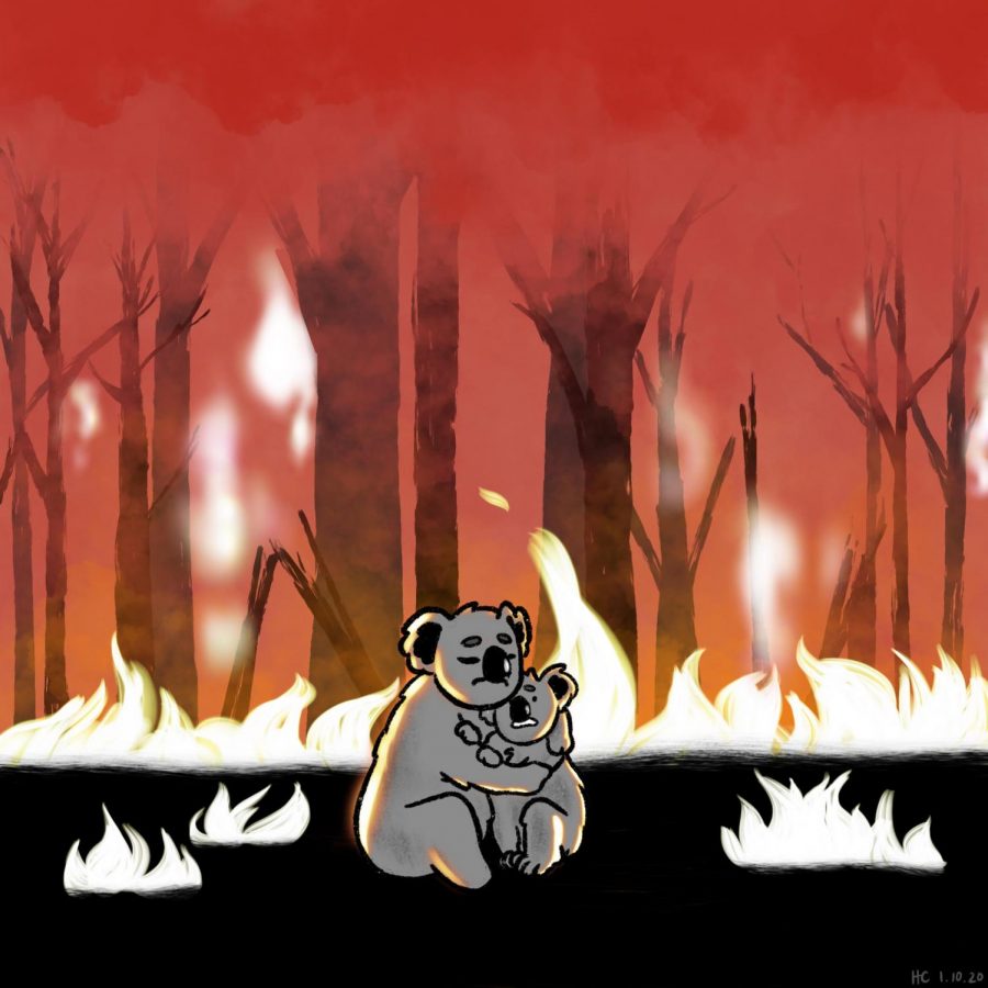 The current death toll of the Australian bushfires is over 30 people.