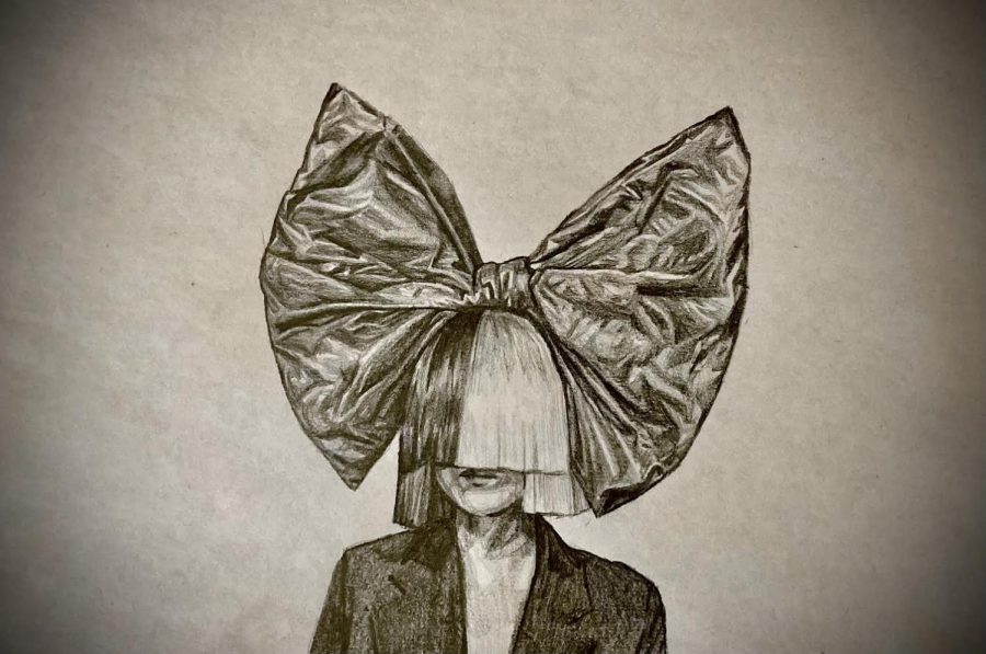 Sia’s "Music" Demonstrates Ignorance and Sparks Controversy