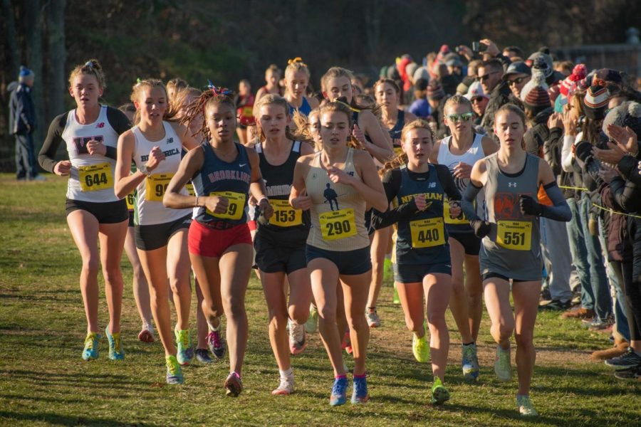 CRLS Places Third at Cross Country All-State Meet