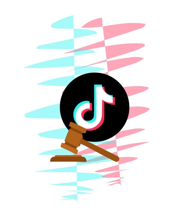 TikTok has been under congressional fire over alleged breaches of user privacy. 