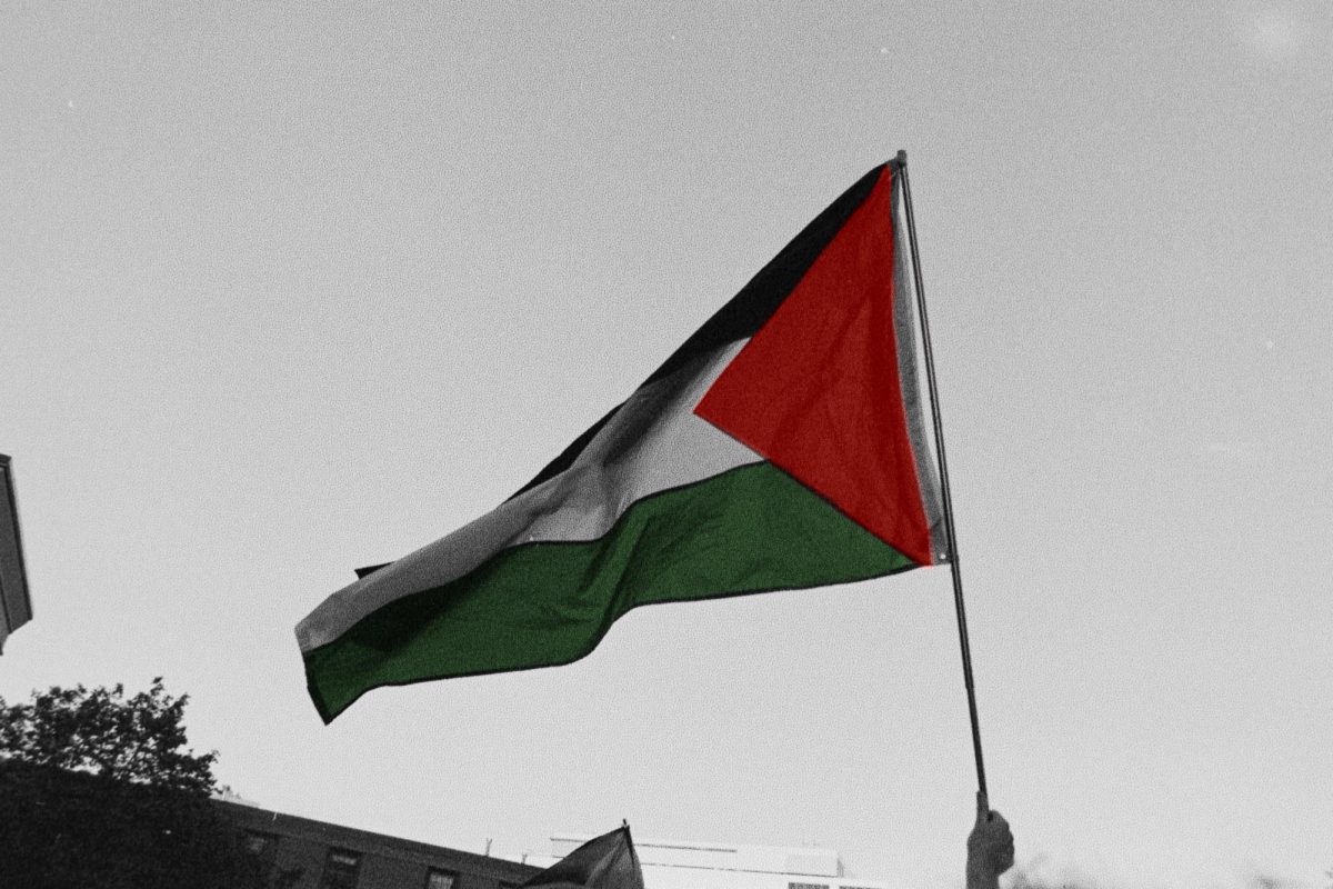 Palestinian flag being waved at a protest calling for ceasefire.