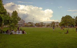 Donnely Field is located near Kendall Square and Inman Square.