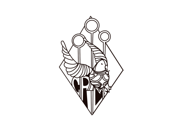The quidditch team welcomes any and all CRLS students.
