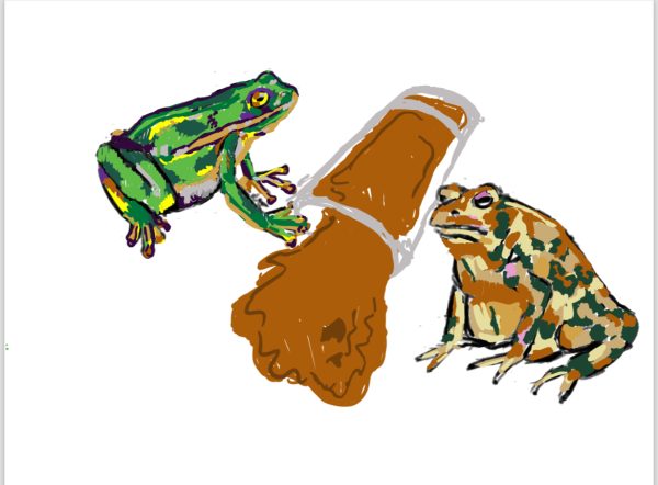 The book draws comparisons between amphibian and human behavior.