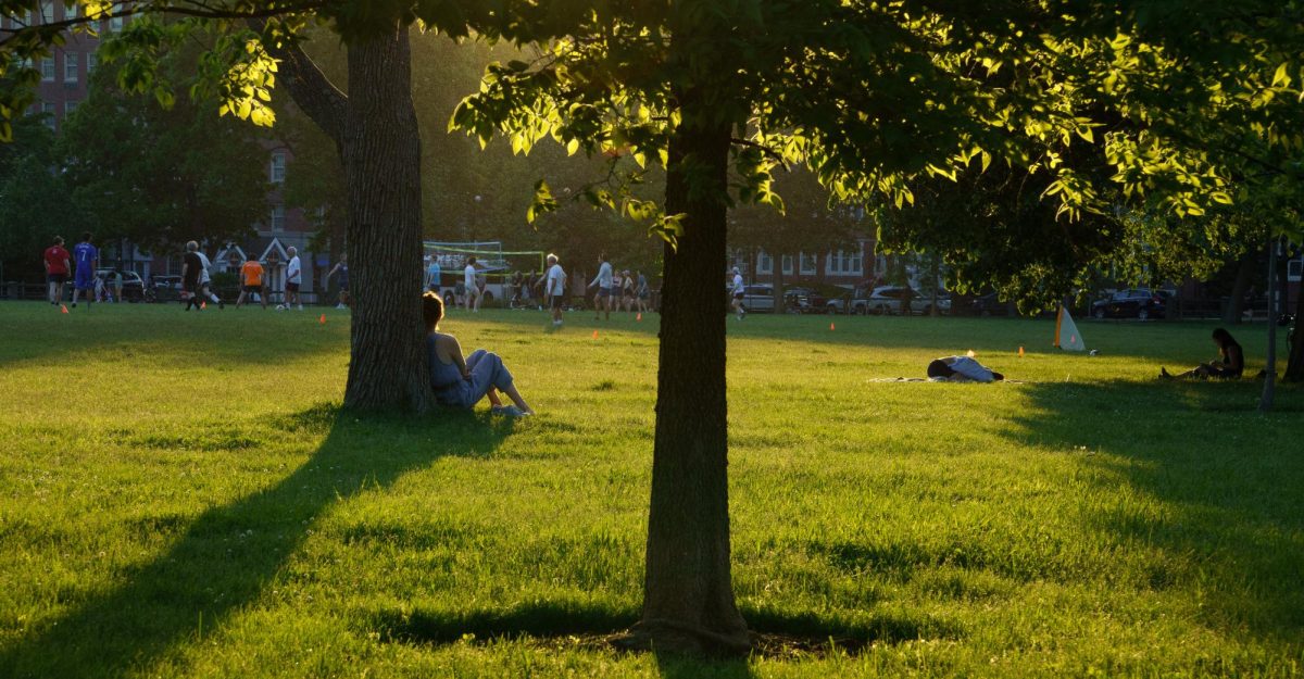 Enjoy the sweet breeze of spring with your friends (at Dunkin', of course)!
