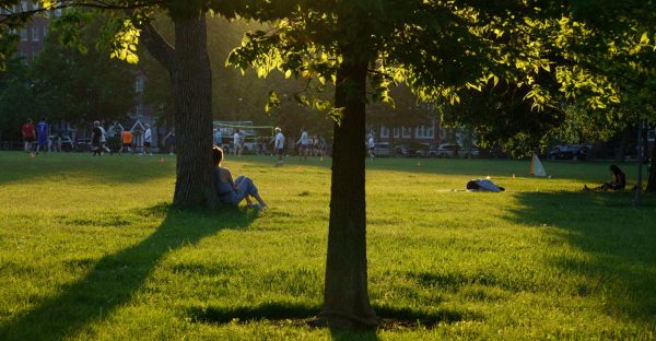 The Register Forum’s Top Spring (Dunkin’) Spots Around Boston