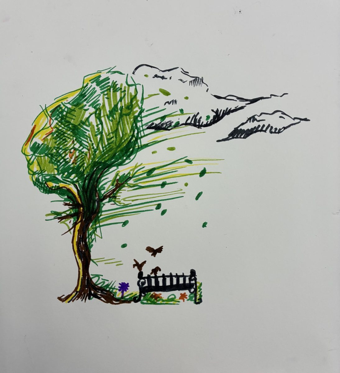 Pocket Parks: The Newly Recognized Green Space in Cambridge